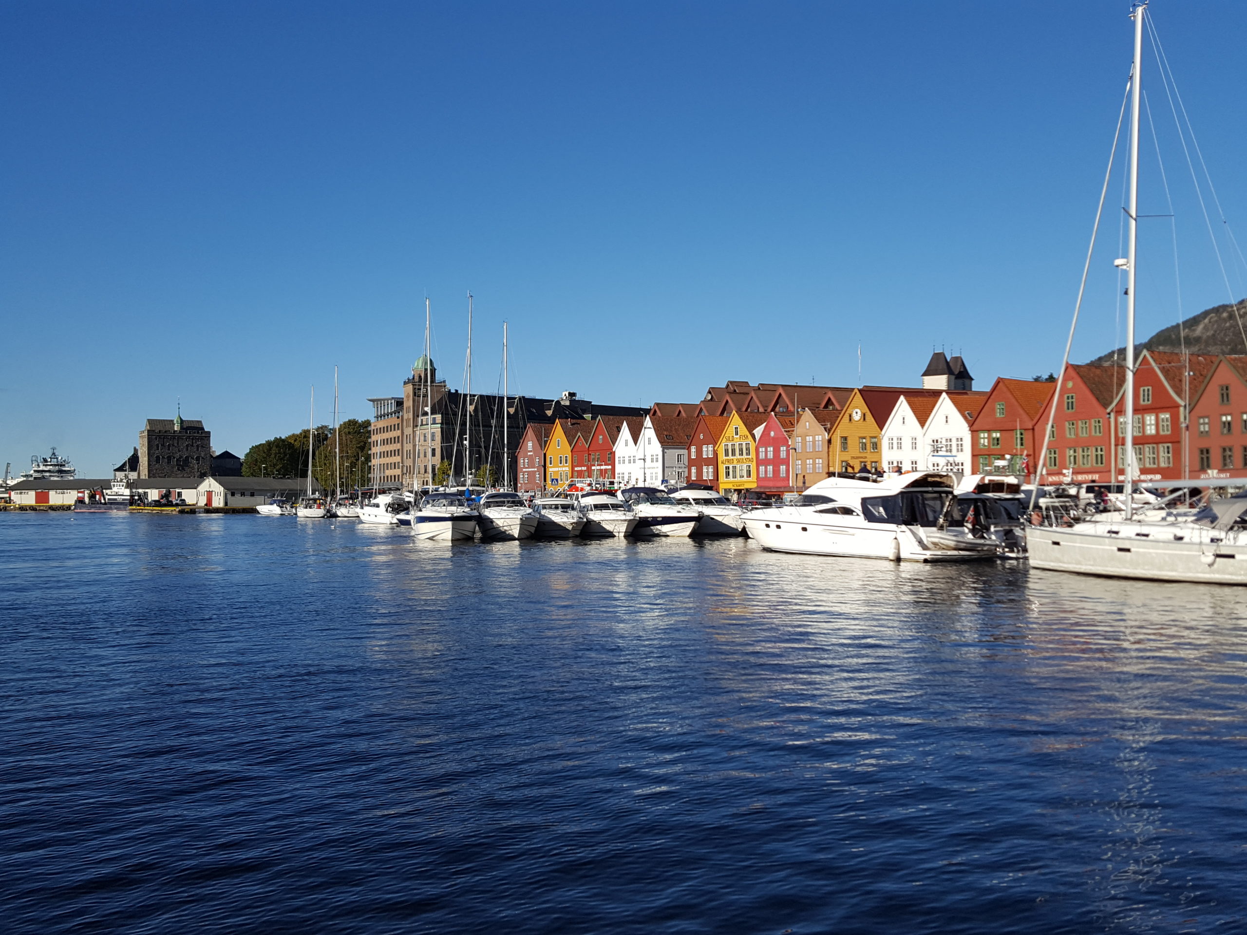 You are currently viewing Nordnes and the Bryggen seafront