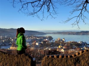 Read more about the article Bergen panorama view from Fjellveien