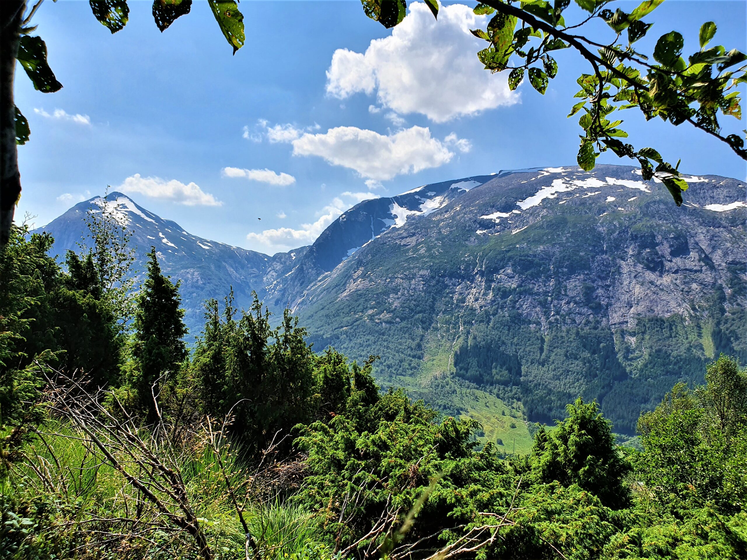 You are currently viewing Hiking from sea to summit in Uskedalen