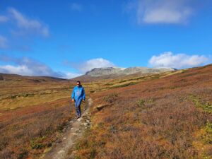 Read more about the article Urundberget 1218 m, Geilo