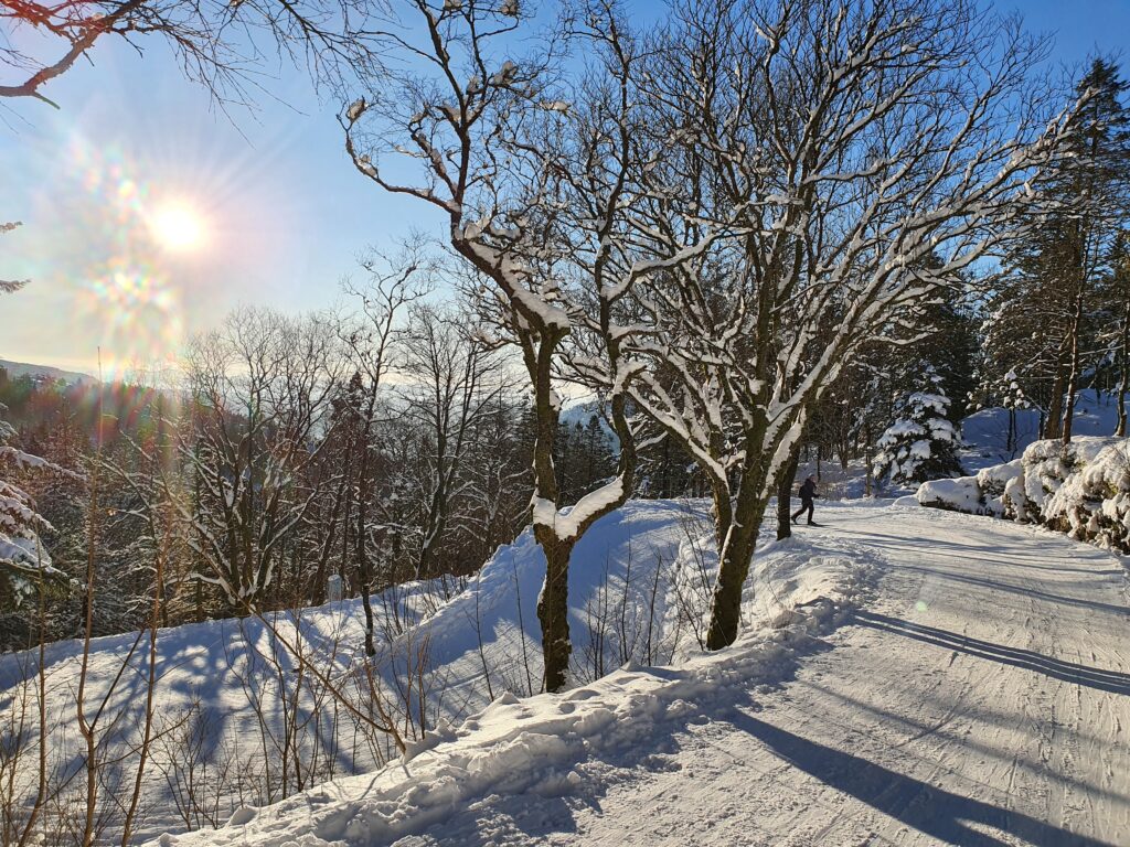 På ski i Bergen, Fløyen, Rundemanen, Lysløypen, Skiing, Norway, snow, snø