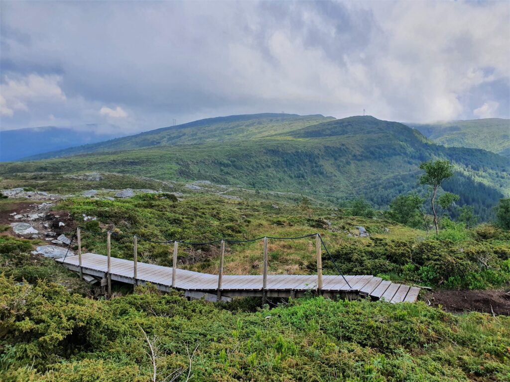 Arnanipa,Ådnanipa,Bergen,Fjord,hike,Fjelltur,Arna,Åsheimsvarden,fjordutsikt,nærtur,fjordutsikt,topptur,fjordview,Bergen365,Birgitte Munch, Alexander Iversen, hjortestien