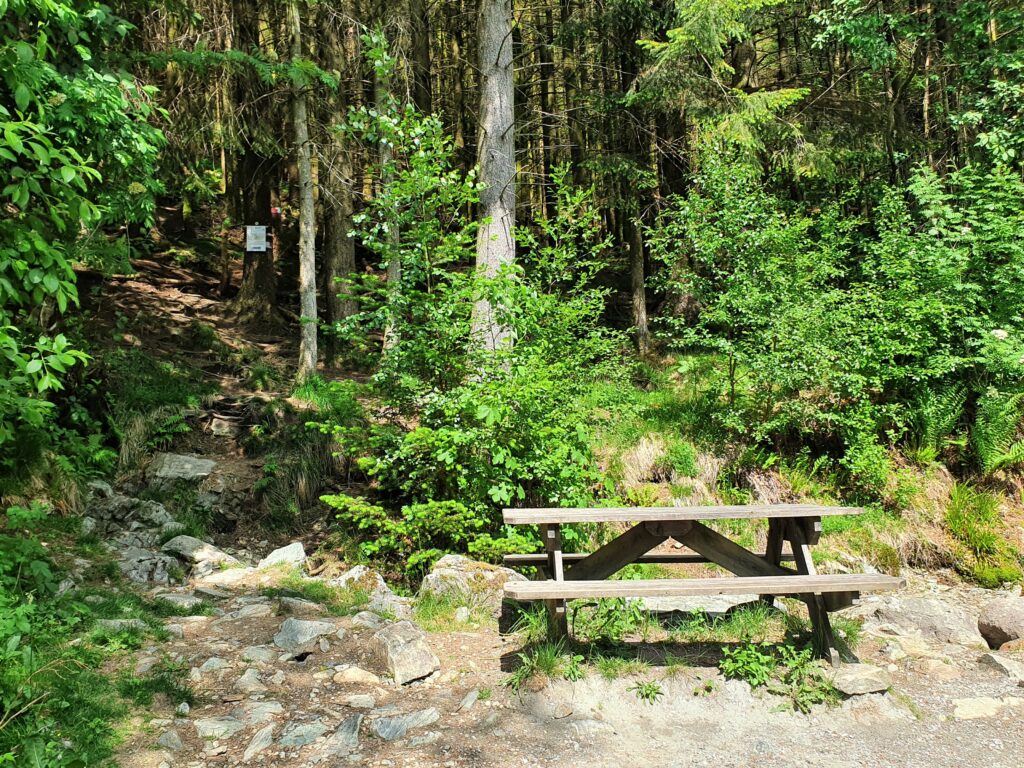 Arnanipa,Ådnanipa,Bergen,Fjord,hike,Fjelltur,Arna,Åsheimsvarden,fjordutsikt,nærtur,fjordutsikt,topptur,fjordview,Bergen365,Birgitte Munch, Alexander Iversen,Hjortestien